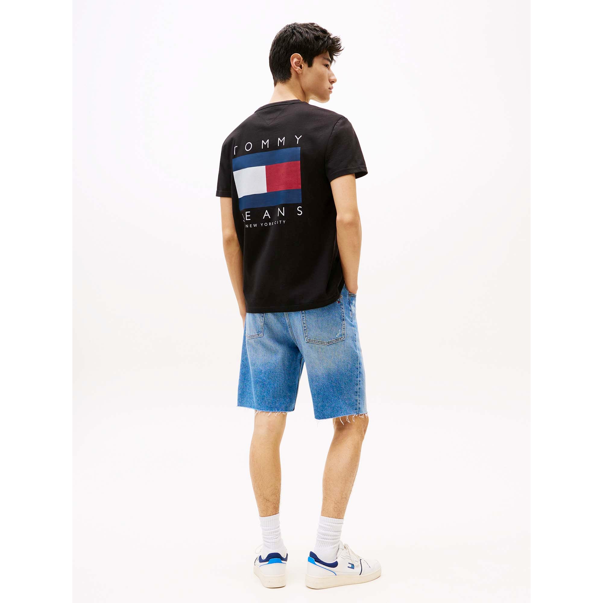 TJM_REG_FLAG_GRAPH_B_DM0DM21910_BDS_Image_3