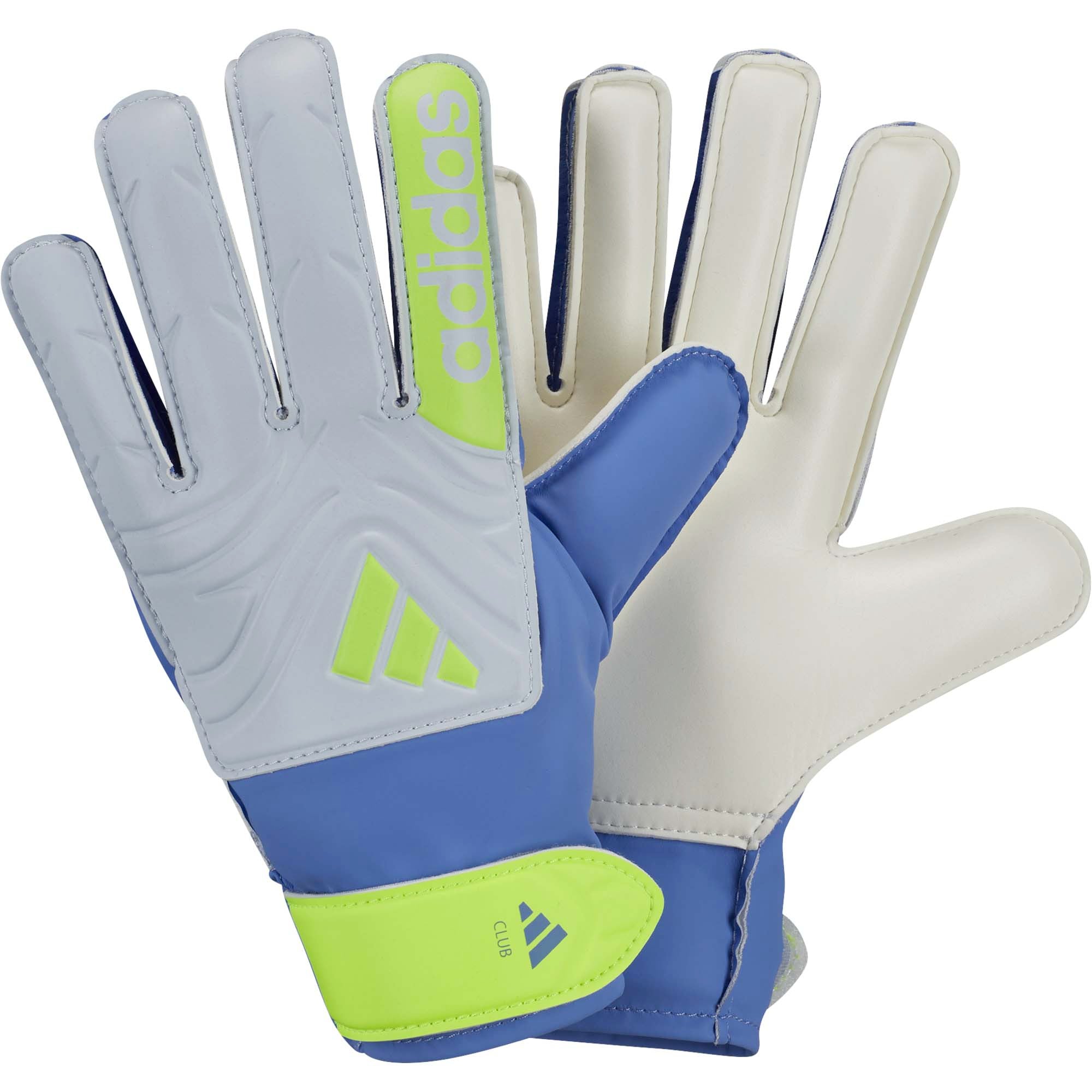 COPA_GL_CLB_J_JH3791_BLUFUSH_Image_1