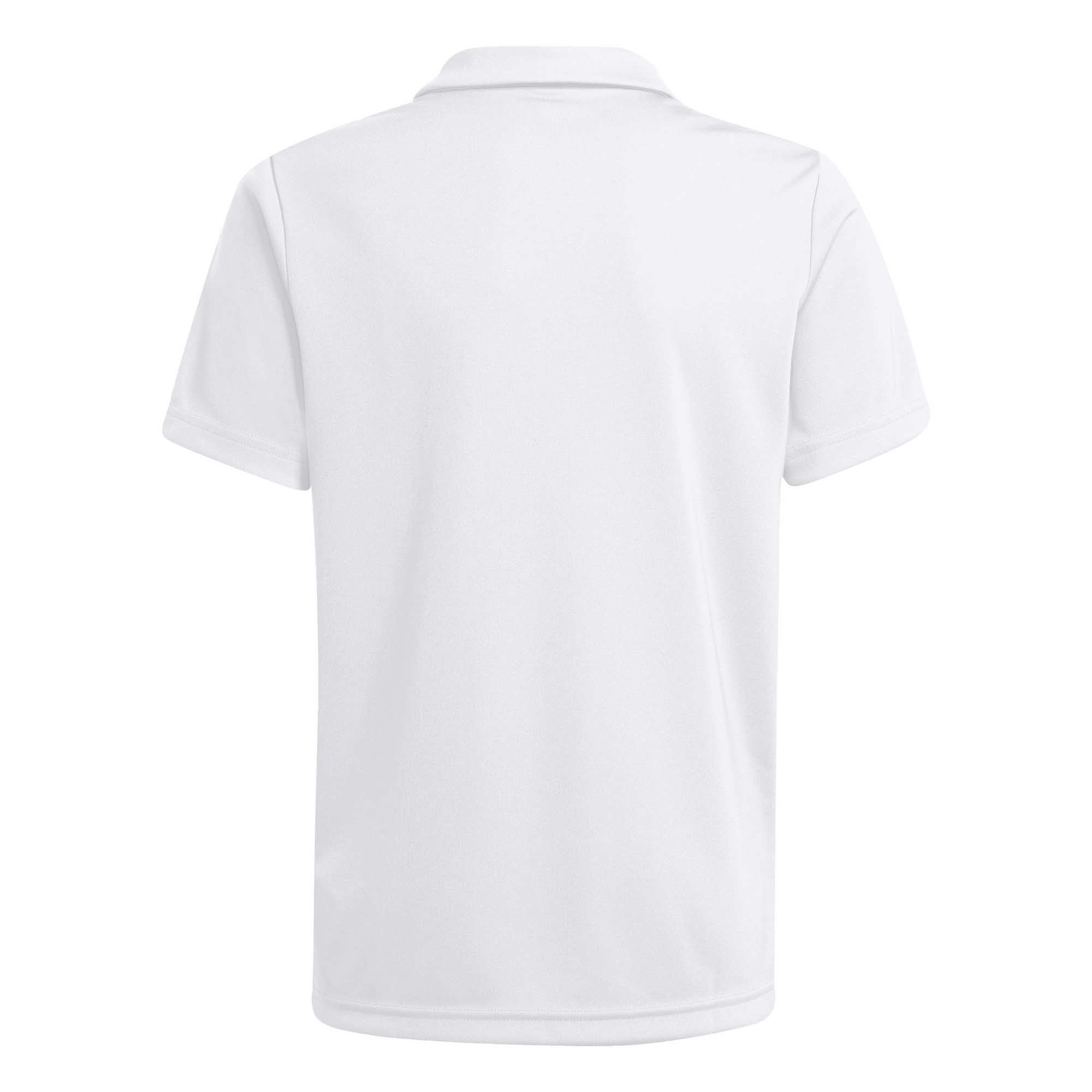 ENT22_POLO_HC5067_WHITE_Image_2
