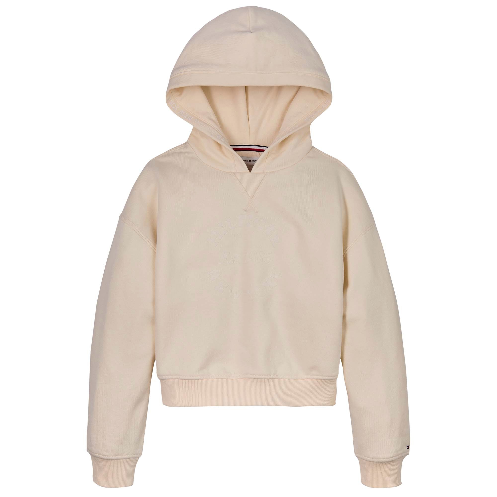 HILFIGER_NEW_YORK_HOODIE_THKG0KG08322T_AEF_Image_1
