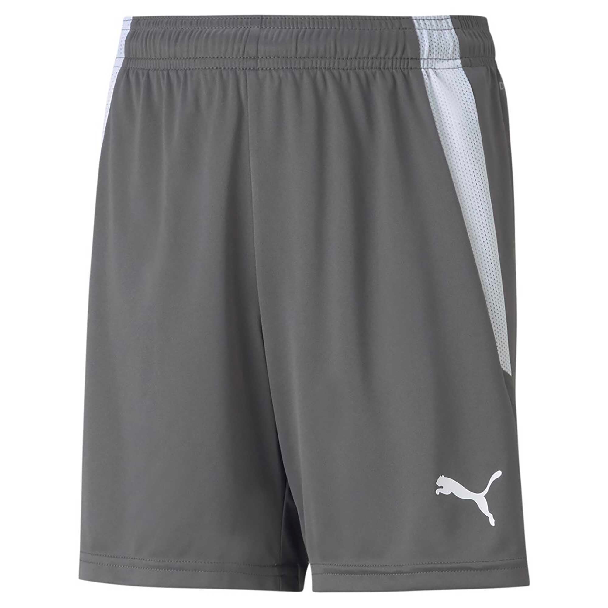 TEAMLIGA_SHORTS_JR_704931_13_Image_1